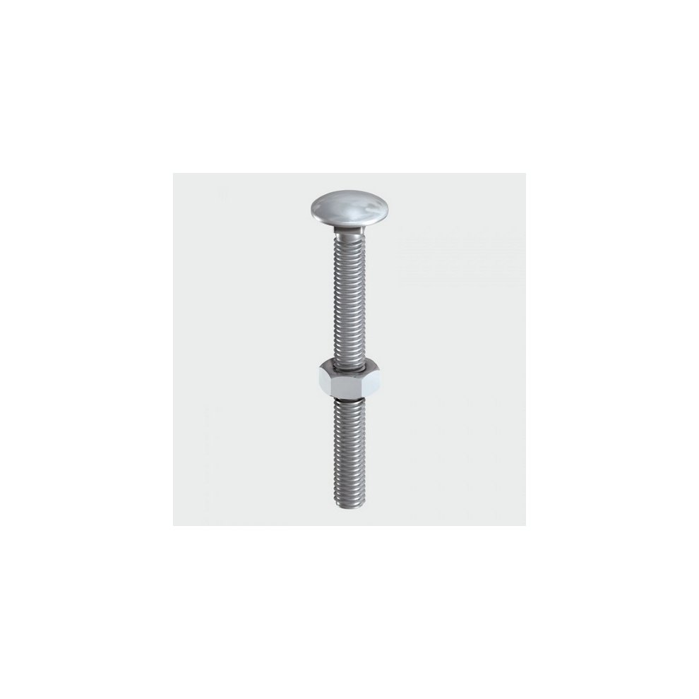 Carriage Bolts & Hex Nuts - Stainless Steel M12 x 130