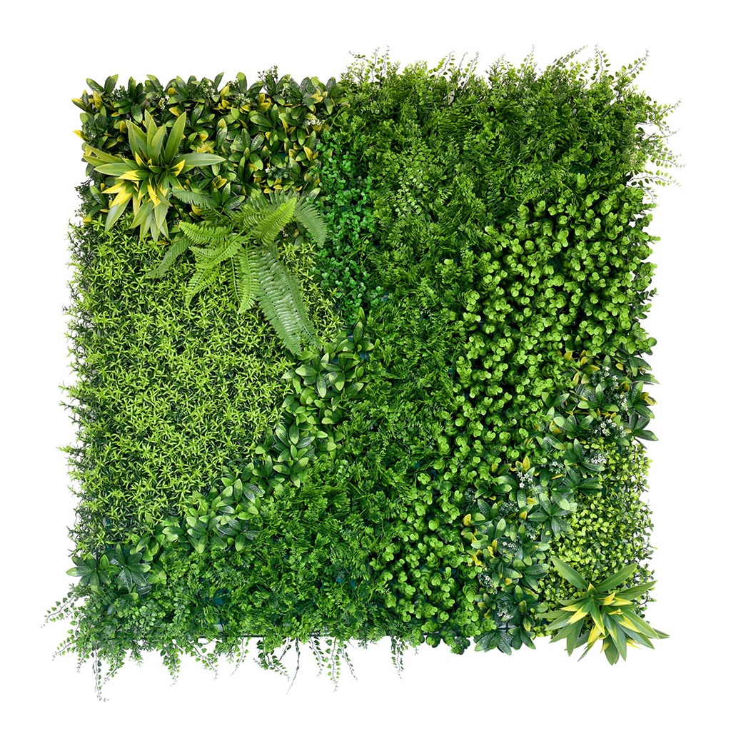 [APW-CCGA110M] GG Plant Wall Beauty Secret 1000 x 1000
