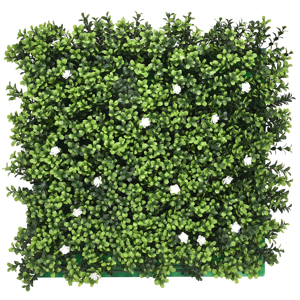 [APW-CCGA033F] GG Plant Wall English Boxwood 500 x 500