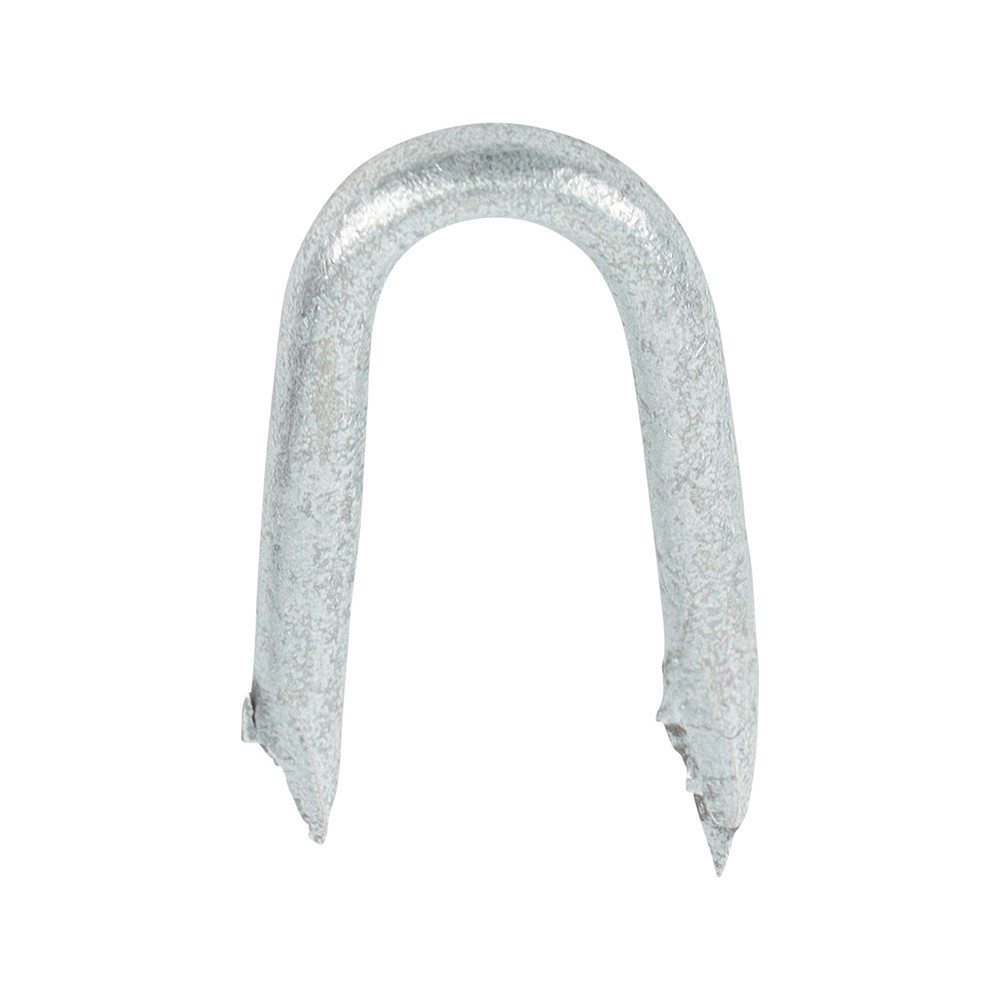 Presser Point Staples - Galvanised - 25 x 2.65 (Pack 1)