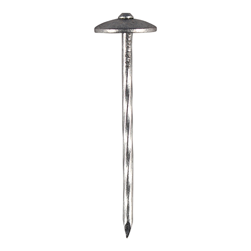Spring Head Nails - Galvanised - 65 x 3.35 (Pack 2.5)