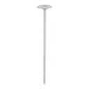 Slab Nails - Galvanised - 180 x 4.50 (Pack 1)