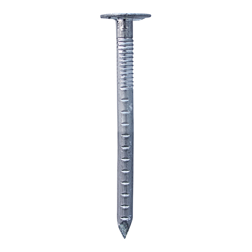 Clout Nails - Aluminium - 30 x 2.65 (Pack 10)