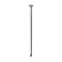Round Wire Nails - Stainless Steel - 100 x 4.00 (Pack 1)