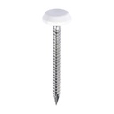 Polymer Headed Nails - A4 Stainless Steel - White - 40mm (Pack 100)