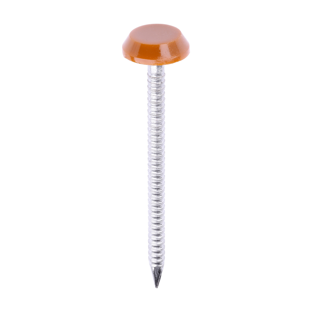 Polymer Headed Nails - A4 Stainless Steel - Clay Brown - 50mm (Pack 100)