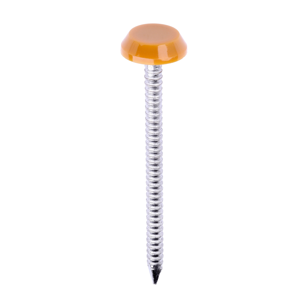 Polymer Headed Nails - A4 Stainless Steel - Oak - 50mm (Pack 100)