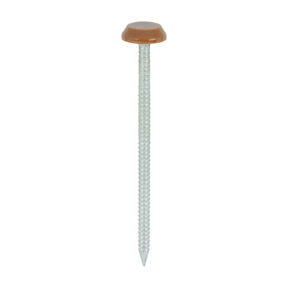 Polymer Headed Nails - A4 Stainless Steel - Clay Brown - 65mm (Pack 100)