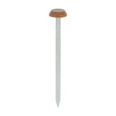 Polymer Headed Nails - A4 Stainless Steel - Clay Brown - 65mm (Pack 100)