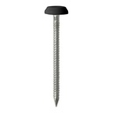 Polymer Headed Pins - Stainless Steel - Black - 50mm (Pack 25)