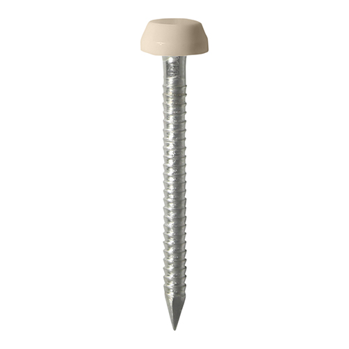 Polymer Headed Pins - A4 Stainless Steel - Beige - 25mm (Pack 250)