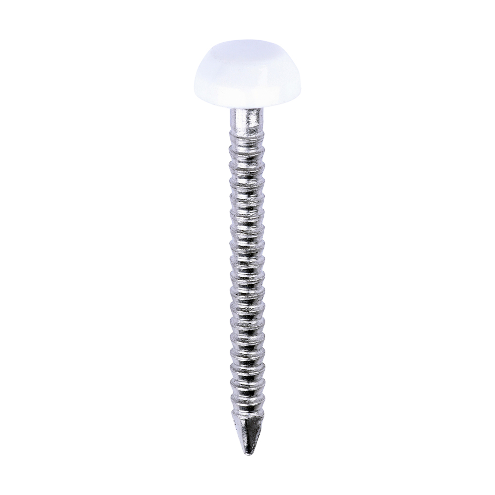 Polymer Headed Pins - A4 Stainless Steel - White - 25mm (Pack 250)