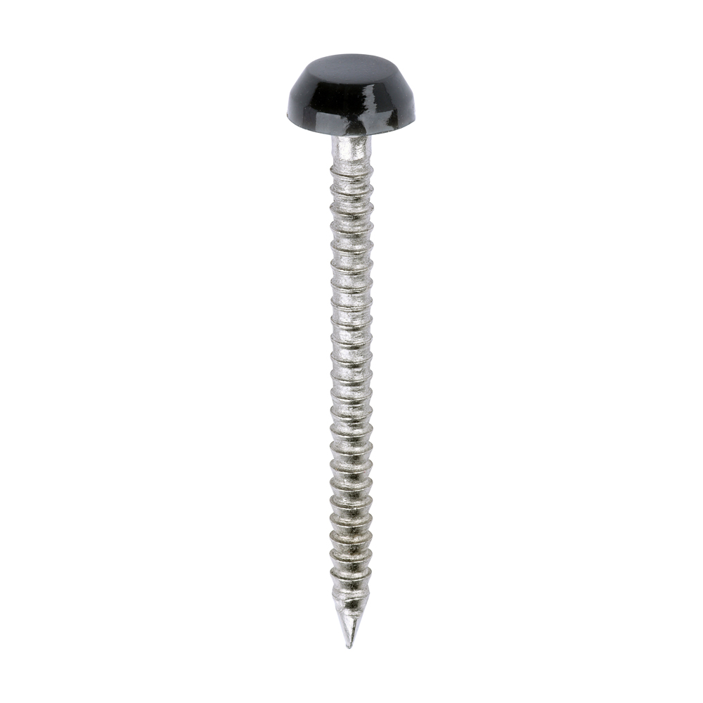 Polymer Headed Pins - A4 Stainless Steel - Anthracite Grey - 30mm (Pack 250)