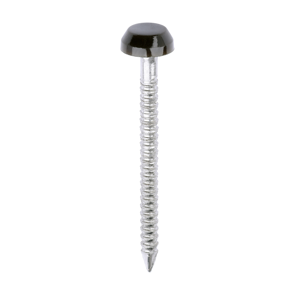 Polymer Headed Pins - A4 Stainless Steel - Mahogany - 30mm (Pack 250)