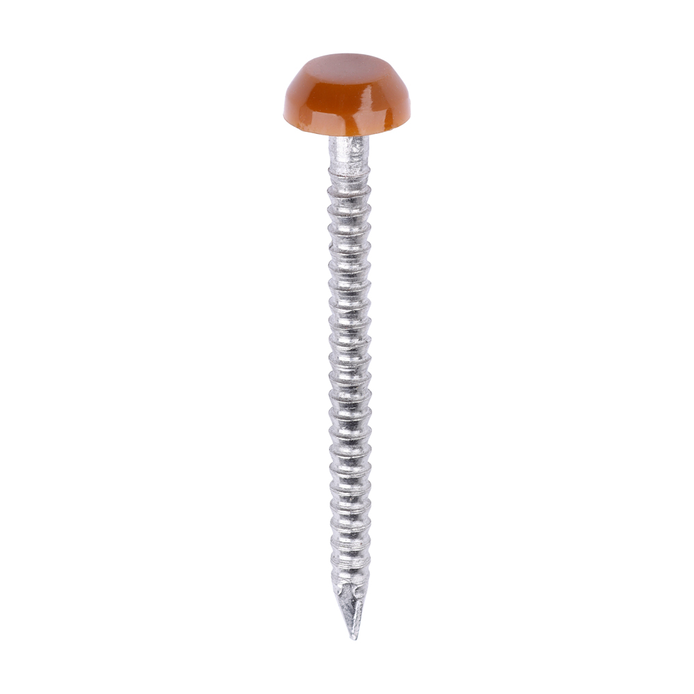 Polymer Headed Pins - A4 Stainless Steel - Clay Brown - 30mm (Pack 250)