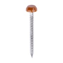 Polymer Headed Pins - A4 Stainless Steel - Clay Brown - 30mm (Pack 250)
