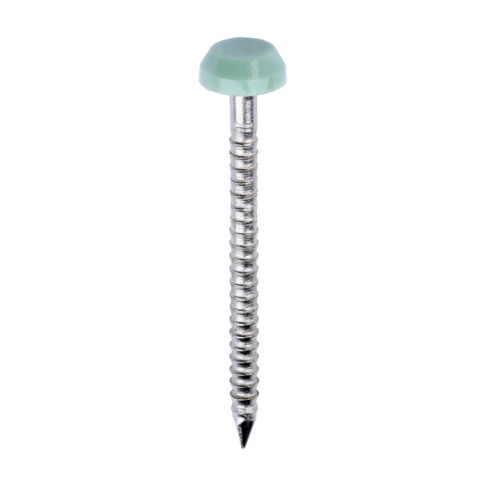 Polymer Headed Pins - A4 Stainless Steel - Chartwell Green - 30mm (Pack 250)
