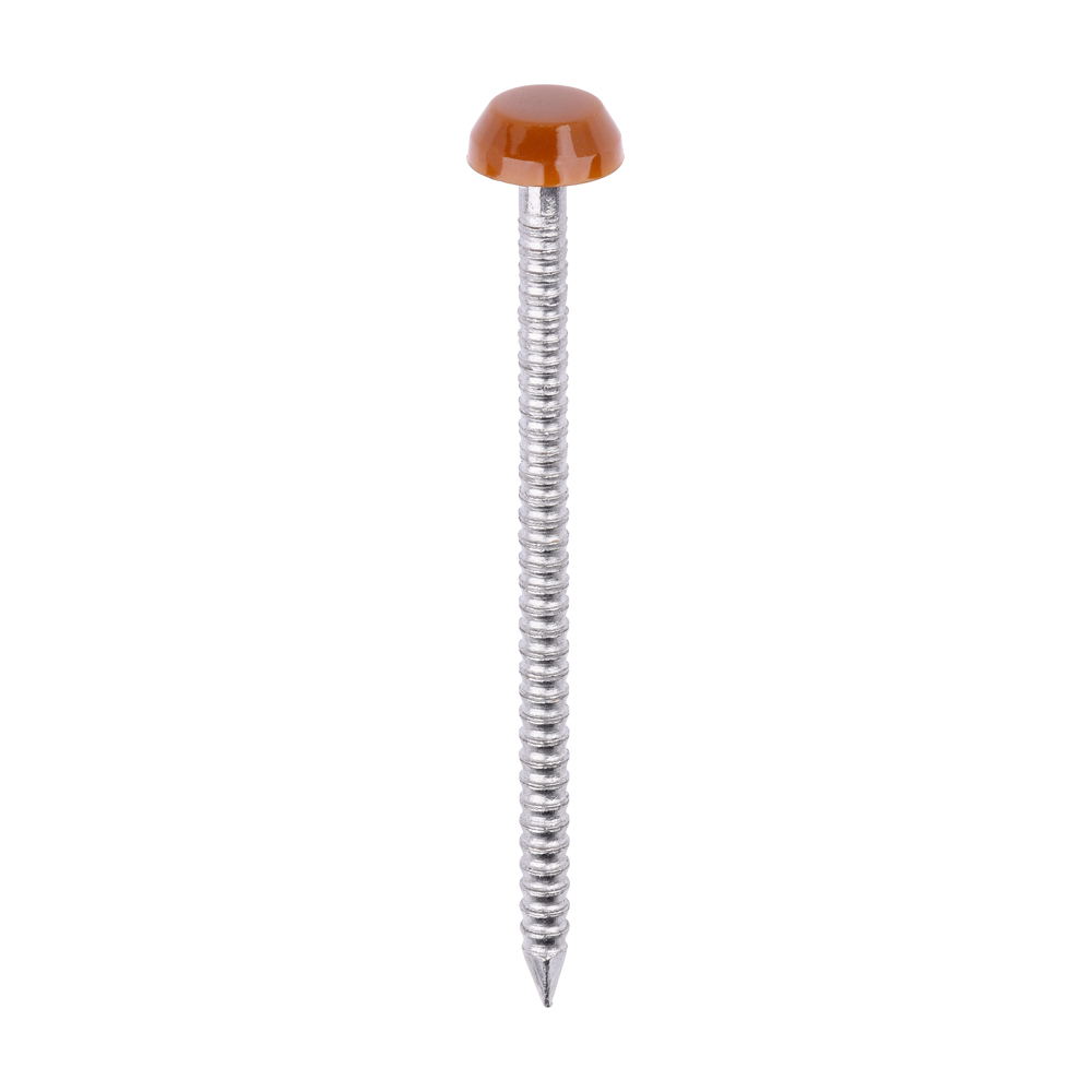 Polymer Headed Pins - A4 Stainless Steel - Clay Brown - 40mm (Pack 250)