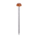 Polymer Headed Pins - A4 Stainless Steel - Clay Brown - 40mm (Pack 250)