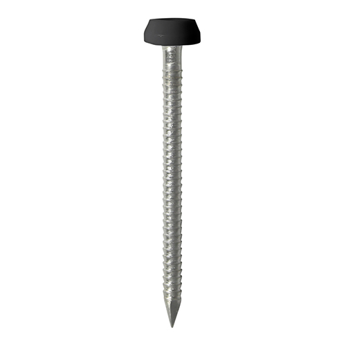Polymer Headed Pins - Stainless Steel - Black - 40mm (Pack 50)