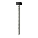 Polymer Headed Pins - Stainless Steel - Black - 40mm (Pack 50)