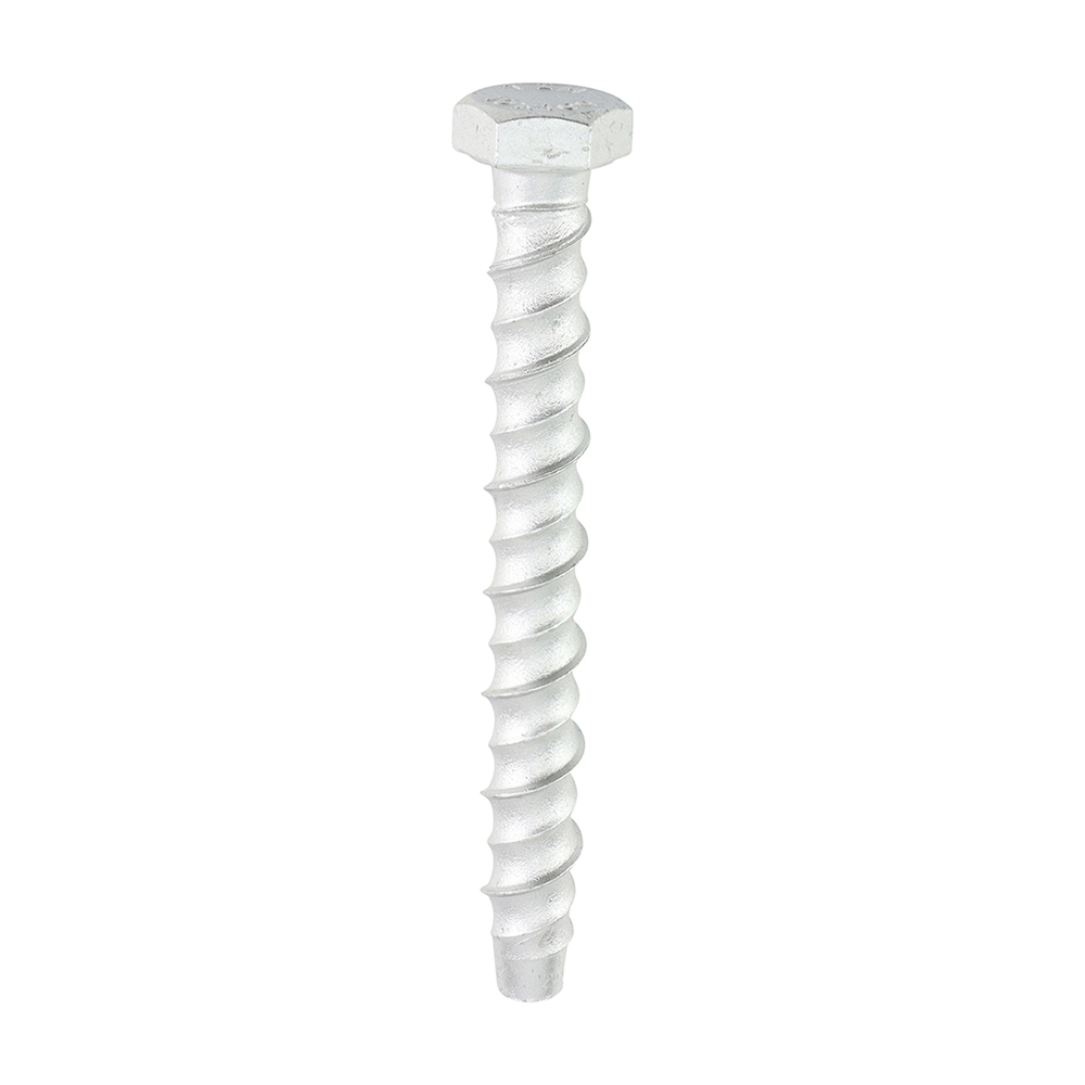 [MF10100] Multi-Fix Masonry Bolts - Hex - Exterior - Silver - 10.0 x 100 (Pack 50)