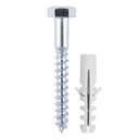 Coach Screws & Nylon Plugs - Zinc - 6.0 x 60 (Pack 40)