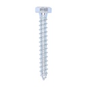 Coach Screws - Hex - Zinc - 8.0 x 60 (Pack 100)