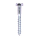 Coach Screws - Hex - Zinc - 10.0 x 75 (Pack 100)