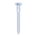Coach Screws - Hex - Zinc - 10.0 x 80 (Pack 50)