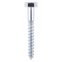Coach Screws - Hex - Zinc - 10.0 x 50 (Pack 45)