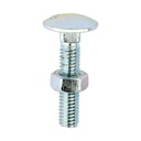 Carriage Bolts & Hex Nuts - Zinc - M6 x 30 (Pack 200)