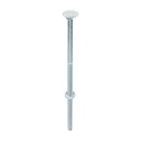 Carriage Bolts & Hex Nuts - Zinc - M10 x 240 (Pack 10)