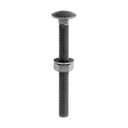 Carriage Bolts Hex Nuts & Form A Washers - Dome - Exterior - Green - M10 x 100 (Pack 10)