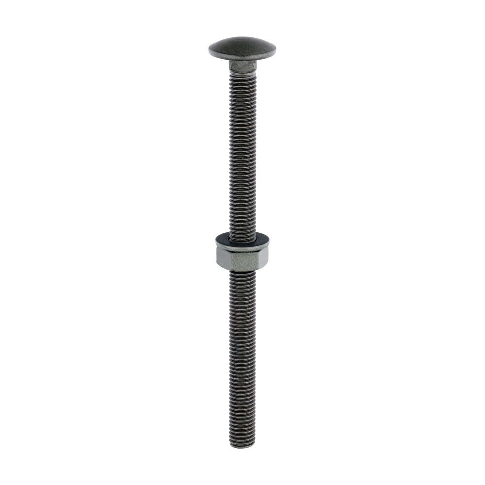 Carriage Bolts Hex Nuts & Form A Washers - Dome - Exterior - Green - M10 x 150 (Pack 10)