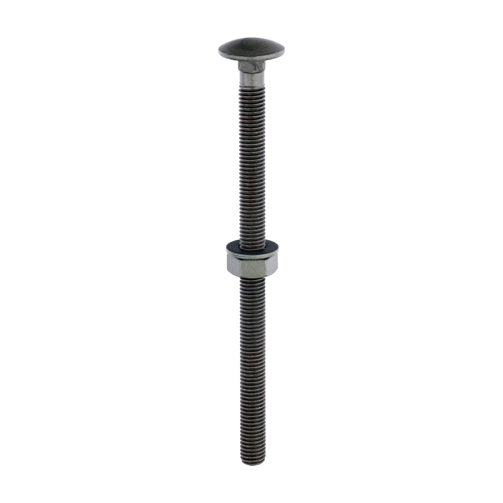 Carriage Bolts Hex Nuts & Form A Washers - Dome - Exterior - Green - M10 x 160 (Pack 10)