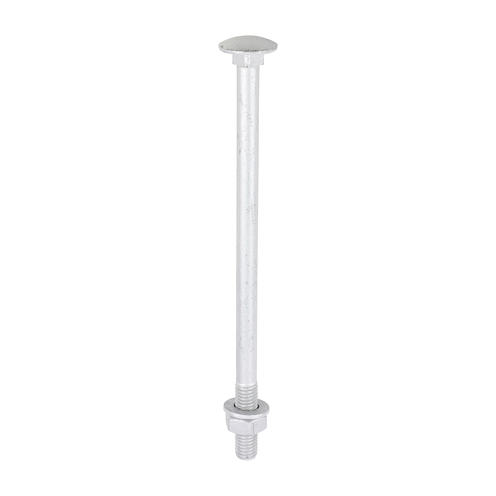 [10180CBI] Carriage Bolts Hex Nuts & Form A Washers - Dome - Exterior - Silver - M10 x 180 (Pack 10)