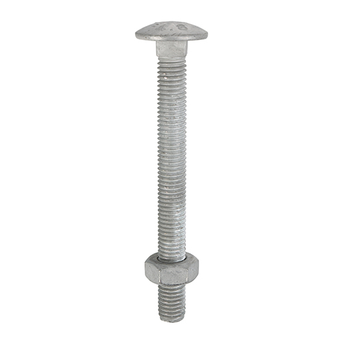 Carriage Bolts & Hex Nuts - Hot Dipped Galvanised - M12 x 100 (Pack 25)