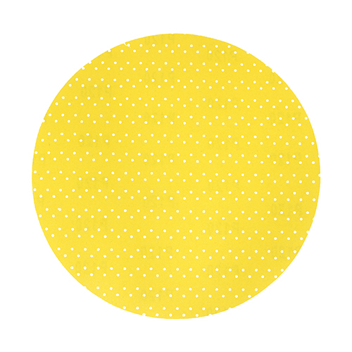 [231025] Drylining Sanding Discs P120